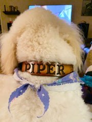 Leather Dog Collar - Western Cross tooled design with name engraved