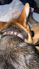 Leather Dog Collar - Skulls in gray and black with name engraved