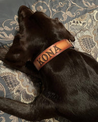 Leather Dog Collar - Tropical Flower hand painted design with name engraved