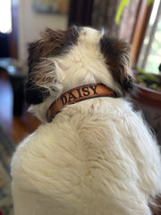 Leather Dog Collar - Tropical Flower hand painted design with name engraved